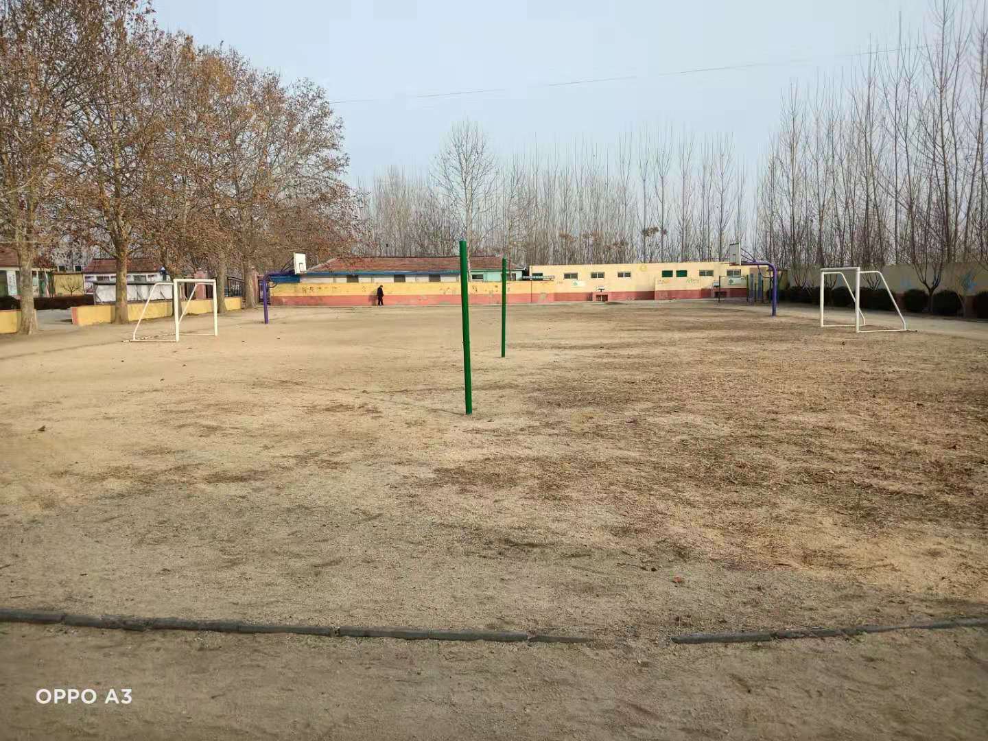 第209所 平度市崔家集镇状元府火狐在线客服刘丽新小学 第209所 平度市崔家集镇状元府火狐在线客服刘丽新小学